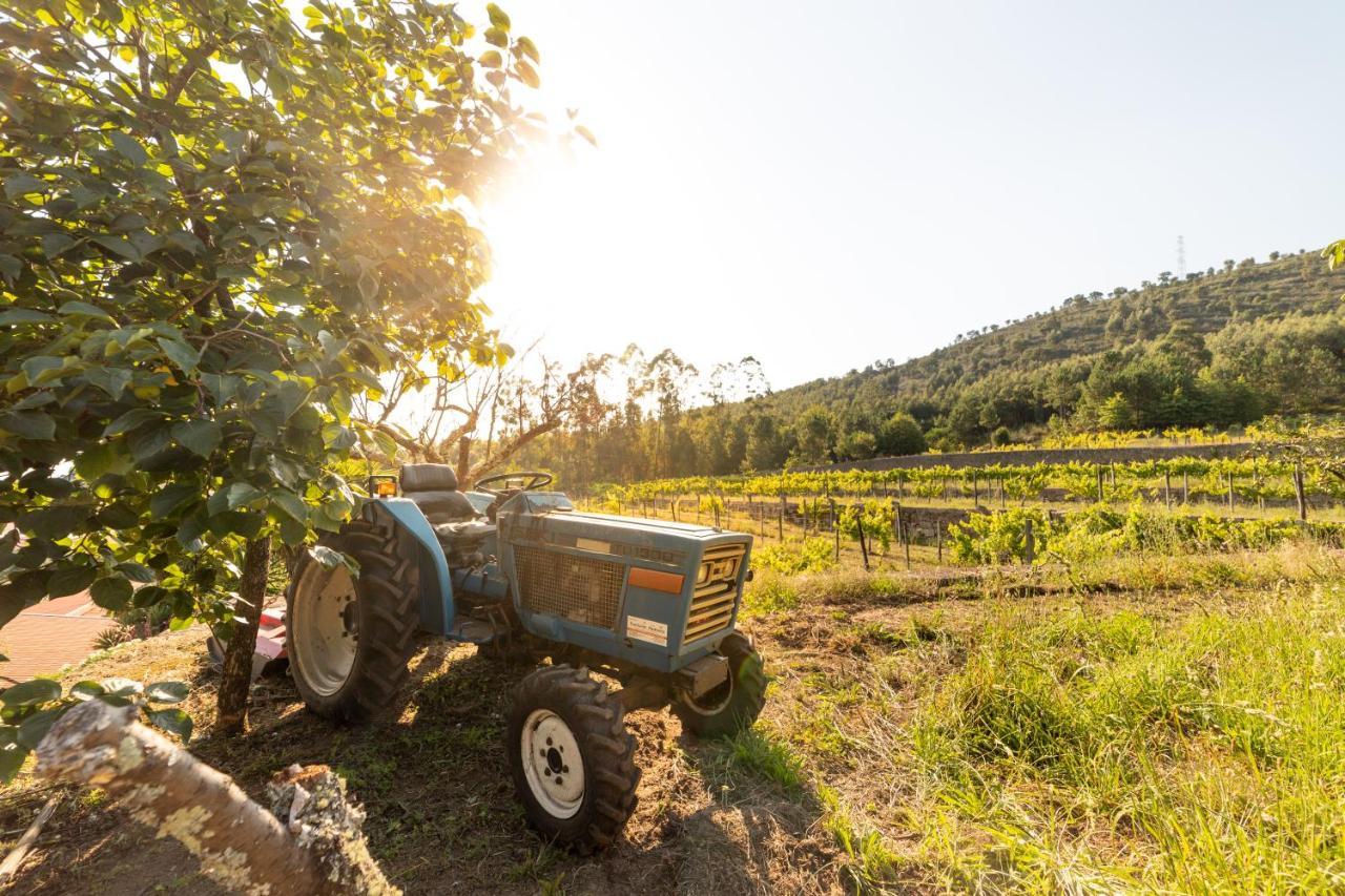 Quinta Da Fonte - Agroturismo Barroselas Luaran gambar