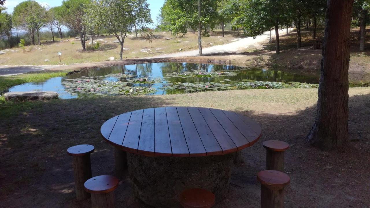 Quinta Da Fonte - Agroturismo Barroselas Luaran gambar