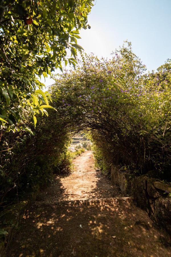 Quinta Da Fonte - Agroturismo Barroselas Luaran gambar