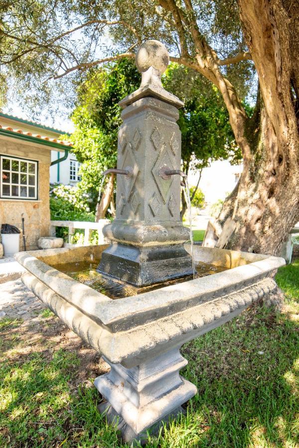 Quinta Da Fonte - Agroturismo Barroselas Luaran gambar