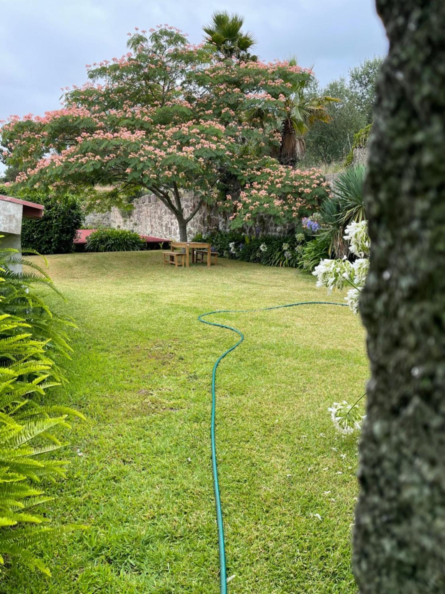 Quinta Da Fonte - Agroturismo Barroselas Luaran gambar